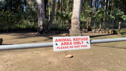 Animal Refuge Area Warning Sign with Kangaroos in Background © blueringmedia