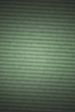 Green grass texture background