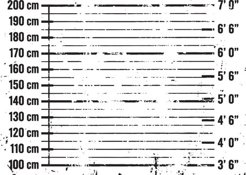 Vintage police mugshot height chart background with grunge texture measurement background scrapbook imperial criminal enforcement distressed weathered vertical illustration identity