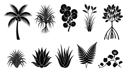 Plants with Various Leaf Shapes and Structures in Black and White Illustration Style Featuring Leaves © Mst