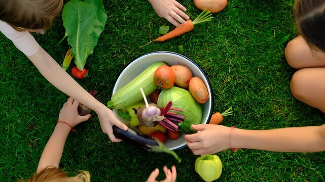 A harvest of vegetables in the hands of children. Selective focus.