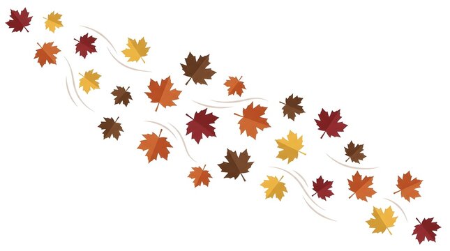 Swirling autumn maple leaves floating in the wind with seasonal, floating