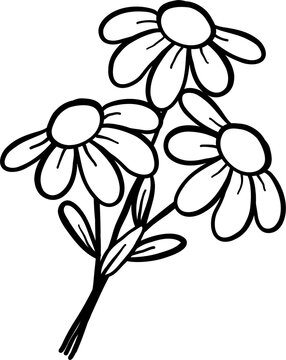 Illustration of Three Daisies Outline Doodle Hand Drawn