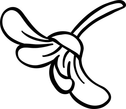 Stylized Flower Outline Doodle Hand Drawn