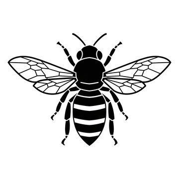 Black Striped Honeybee Silhouette with Wings Spread Top View Isolated on White Background Vector Illustration for Nature Entomology and Bee Design