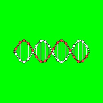 Dna Double Helix with Rotating Red and White Nucleotide Strands
