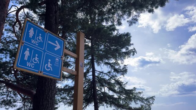 Blue public information sign with beach shower, toilet and accessibility symbols among pine trees, outdoor wayfinding, travel infrastructure, public facilities, navigation concept.