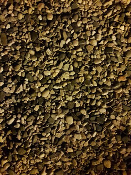 Night Picture