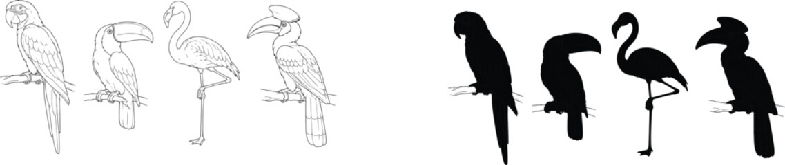 Set of Exotic Tropical Birds Featuring Macaw Toucan Flamingo and Hornbill Vector Illustrations in Outline and Silhouette Styles © MstLata
