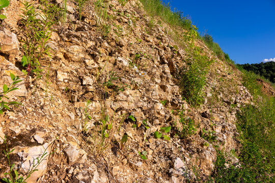 Textured limestone quarry face with rocky layers and rugged surface, overgrown with wild green vegetation and wildflowers under a vibrant clear blue summer sky in a rural setting