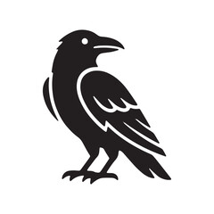 Fototapeta premium Silhouette raven vector illustration of a black crow with silhouette illustration wildlife