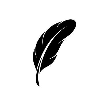 feather and ink