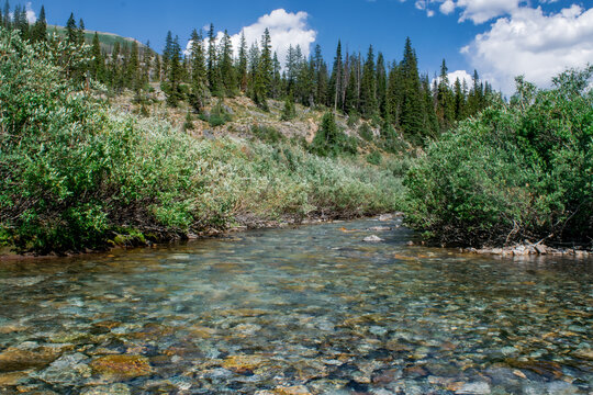 Crystal Clear South Fork River in Colorado
