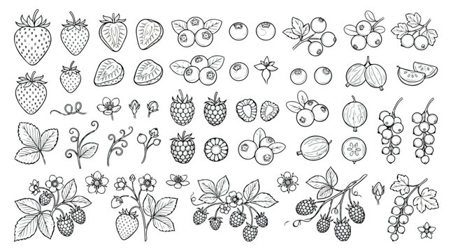Hand drawn berry sketches, vintage botanical line art collection of strawberries and blueberries, black and white fruit vector set for organic food packaging