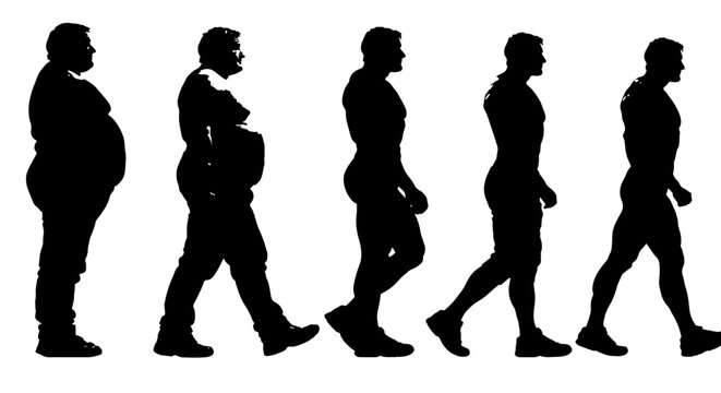 Human Body Transformation Silhouette Series: Weight Loss Journey, Fitness Progress, Health Evolution, Male Figure Stages, Vector Graphic