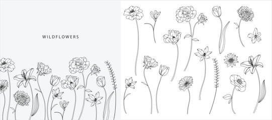Obraz premium Hand drawn flower bouquet line element vector. Collection of foliage, leaves branch, wildflower, poppy, peony, eucalyptus. Spring blossom illustration design for logo, wedding, tattoo, decor.
