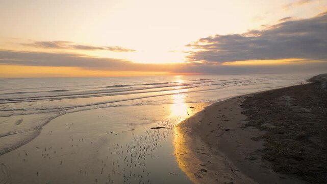 Atardecer en la playa con gaviotas volando en vuelo con dron