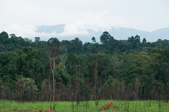 Lush Green Landscape with Mountains and Misty Sky in Yai Region