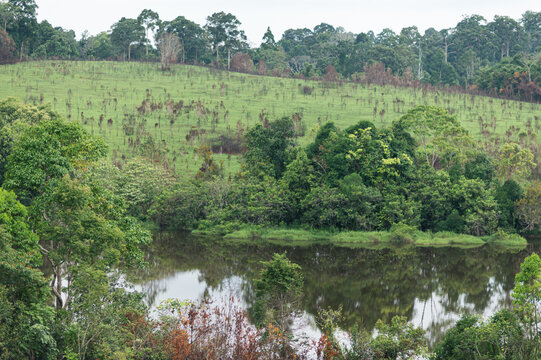 Scenic Landscape of Yai with Lush Greenery and Tranquil Water Body