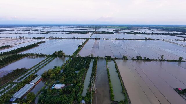 Flooded fields preparing for new cultivation