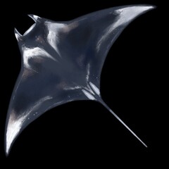 Manta ray, chalk pastel technique digital art, PNG, JPG © Denfa