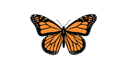 Vibrant monarch butterfly graphic illustration on white background © rams