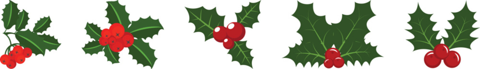 Holly berry icons set, Chritmas logo wirh holly berries.Christmas holly berry flat vector illustration icons set ,Cartoon holly leaves and berries.A simple illustration of holly leaves and berries © Asma