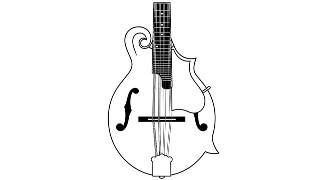 Stringed musical instrument illustration with f holes and pickguard