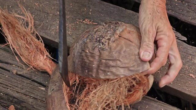 Open the coconut dried shell.