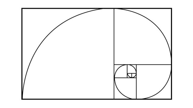 Clean golden ratio and Fibonacci spiral construction diagram with geometric proportion grid on a white background. Ideal for mathematics, architecture, graphic design, composition, engineering, educat