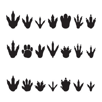 Black silhouette vector illustration set featuring diverse dinosaur footprints isolated on a clean white background design