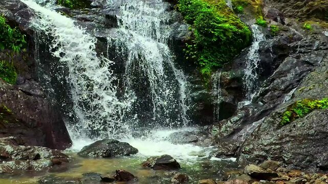 Waterfall cascading down a rocky cliff surrounded by green forest