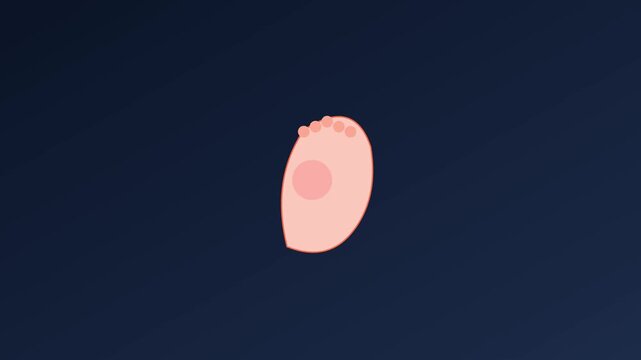 Microscopic single cell organism moving in dark fluid environment, biological amoeba animation for scientific research and education 4k