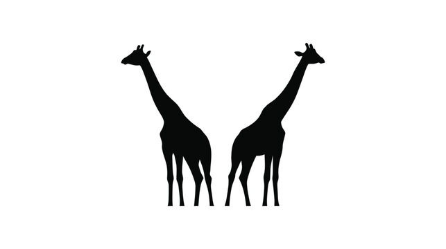 Giraffe silhouette illustration of two animals standing side by side in black