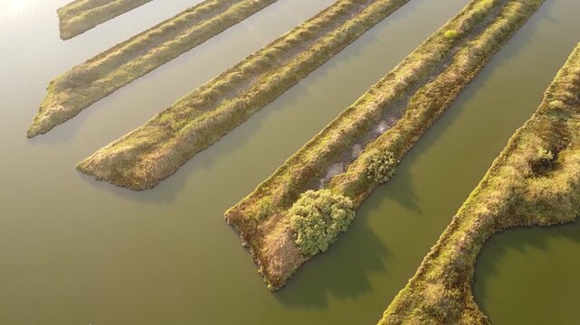 Aerial Top-Down View of Geometric Fish Farm Ponds