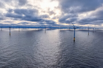 Fototapeta premium Vast Offshore Wind Farm with Dozens of Turbines at Sunset