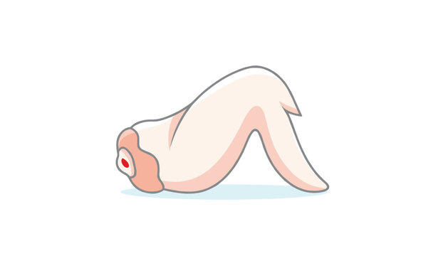 Fresh raw chicken wing segment shown on a white background, representing poultry meat products and cooking ingredients.