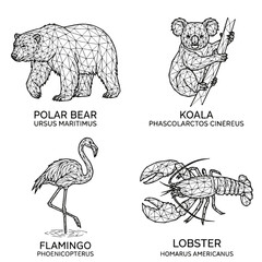 Fototapeta premium Geometric Animal Illustrations Set Featuring Polar Bear Koala Flamingo and Lobster for Modern Design