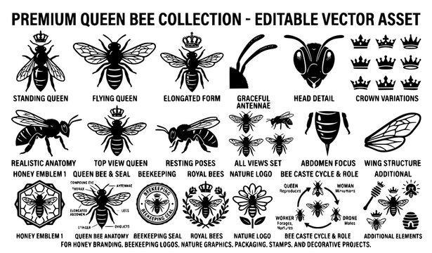 Queen bee silhouette vector illustration set