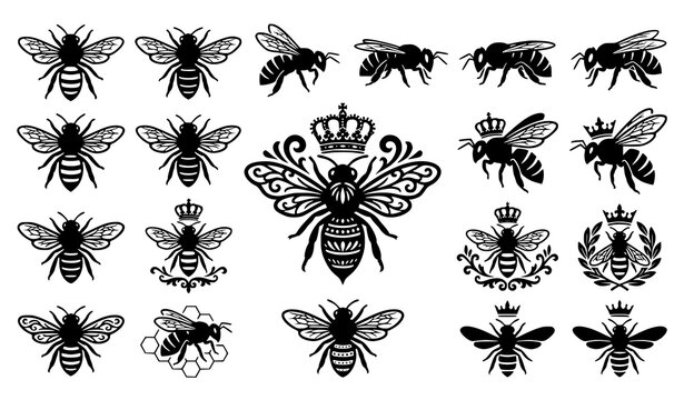 Black queen bee silhouette collection vector