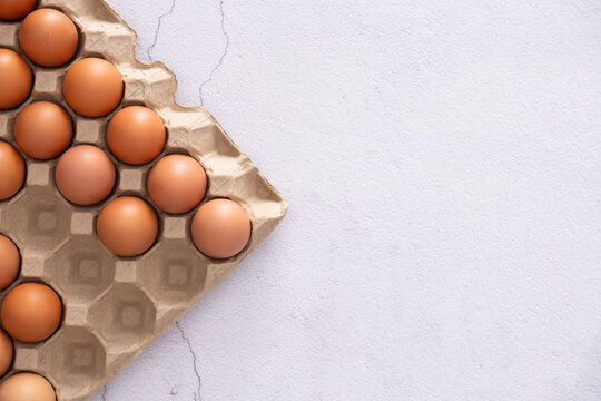 Group of eggs on white background for text 