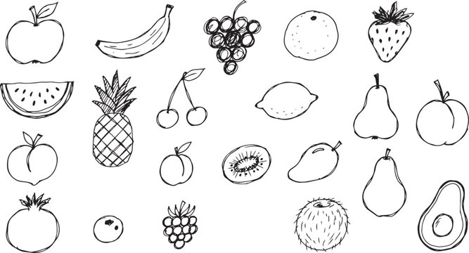 fruits drawing A special drawing/doodle by a young child