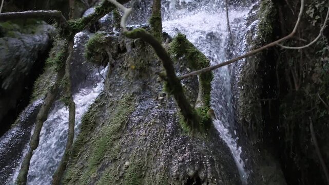Geological process of active tufa formation at Les Cascades de Rivert tufa waterfall. UNESCO Global Geopark Or&iacute;gens, Catalonia, Spain. Place is poor in sunlight. Educational project, documentary video