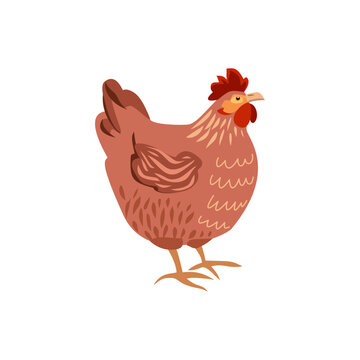 Cute brown hen, isolated farm chicken character for Easter design and rustic decor
