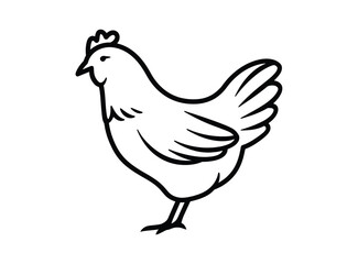 Fototapeta premium Chicken vector illustration line art farm bird
