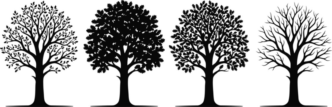 Four seasonal oak tree silhouettes representing spring summer autumn and winter silhouette