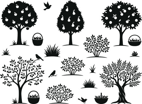 Collection of fruit trees with apples pears cherries and birds silhouette