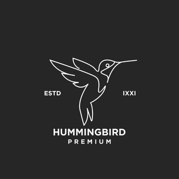 Modern Hummingbird Line Art Logo Vector Icon Design on Dark Background