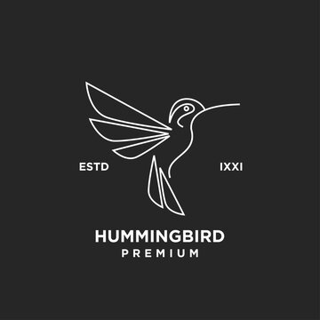 Elegant Hummingbird Monoline Line Art Logo Design Illustration