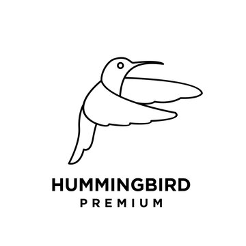 Minimalist Hummingbird Logo Line Art Vector Icon Design